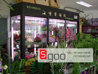 Yantai Zhifu Flower Korean Flower Cabinet_Black_Flower Shop