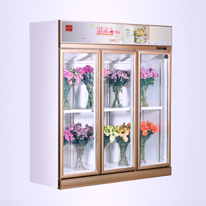 SG18ZA-3门鲜花柜